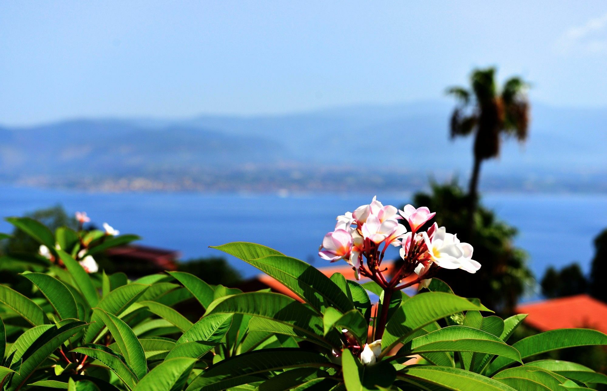 Villa Scilla E Cariddi Месина Екстериор снимка